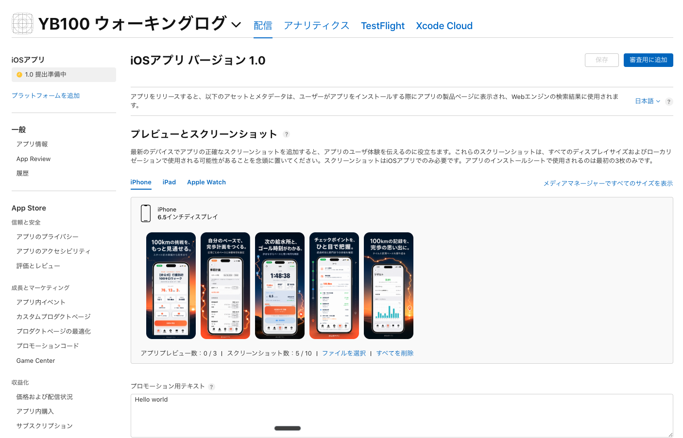 iOSアプリ バージョン1.0の設定画面